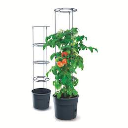 1291932 - Tomatentopf mit Rankhilfe DM 29,5 cm