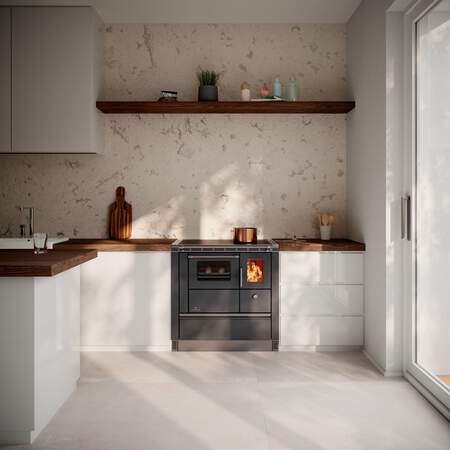 1256165 - Festbrennstoffherd Rega2 75 anthrazit-metallic RA links